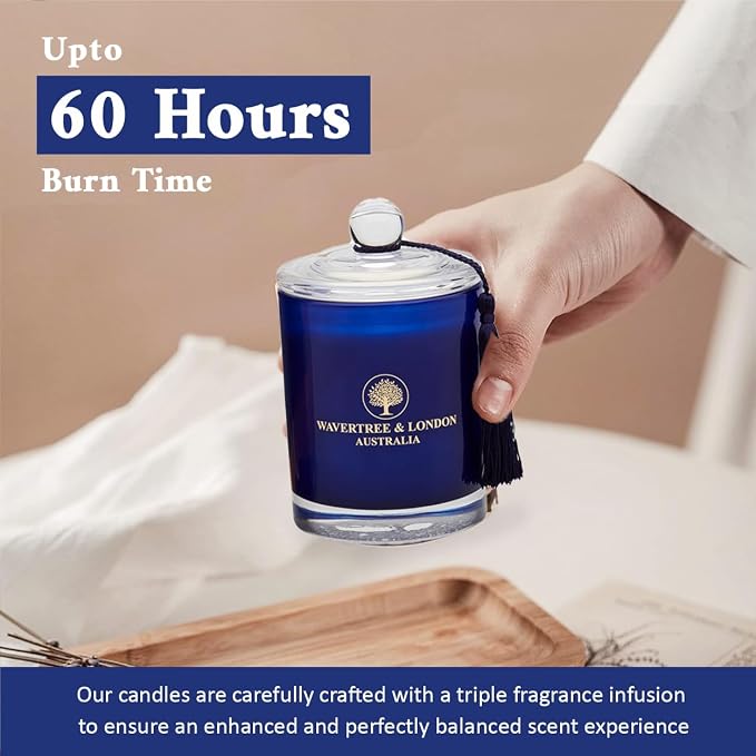 Luxury Cosmopolitan Soy Wax Candle - Hand Poured in Australia, 11.66 oz Glass Jar Fancy Candle, Strong Scented, Non-Toxic, Long Lasting 60 Hour Burn, Refreshing Natural Citrus Candle Gift