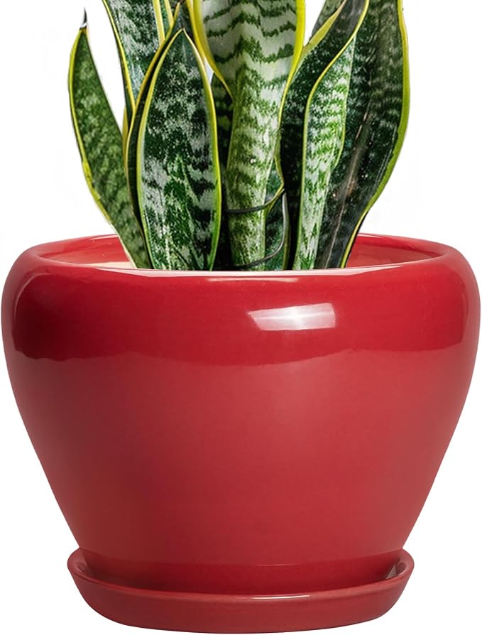 Ceramicfor Ceramic Planter for Indoor Plants 8 Inch - Ceramic Plant Pot with Drainage Hole and Saucer, Glaze Round Decorative Modern Flower Pot, Housewarming Gift, Home Room Office Decor, Red