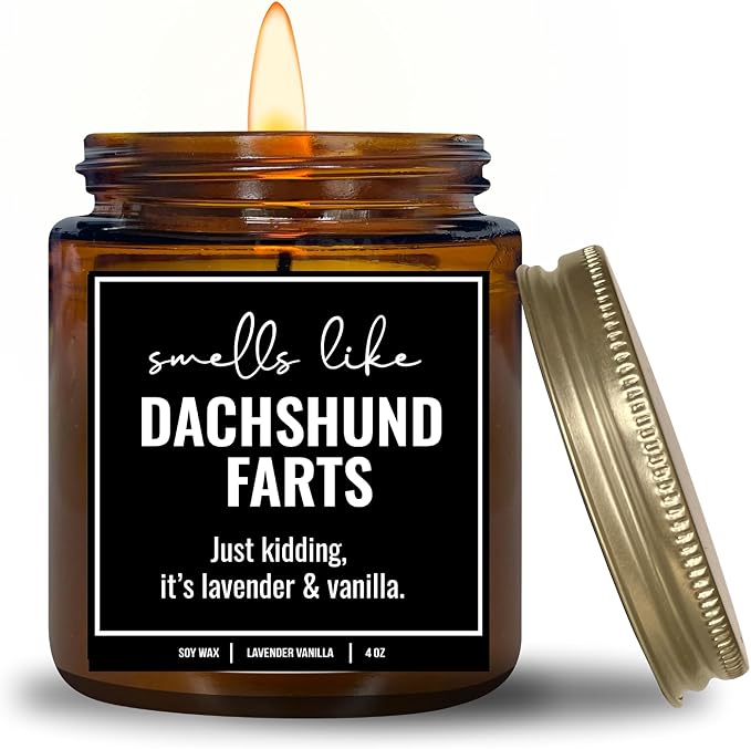You Nique Designs, Dachshund Candle, 4 Oz, Dachshund Gifts for Women, Weiner Dog Gifts, Daschund, Wiener Dog, Daushaund, Dashound, All Natural Soy Vegan Aromatherapy Candles (Lavender&VanillaA 4oz)