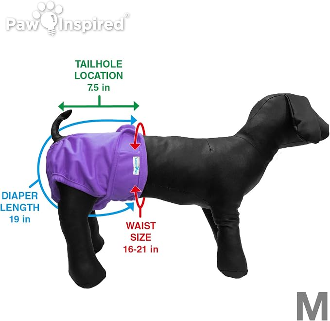 Paw Inspired Reusable Dog Diapers Bundle, Medium, 3-Pack with Suspenders | Washable Diapers in Assorted Colors with White Lining Combo Pack with Black Suspenders