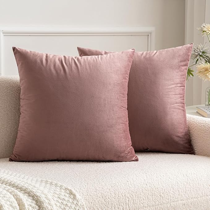 MIULEE Velvet Throw Pillow Covers 16x16 Inch Pack of 2 Jam | Soft Solid Small Decorative Pillow Covers, Modern Luxury Home Decor, for Couch Chair Sofa Bedroom Livingroom Car