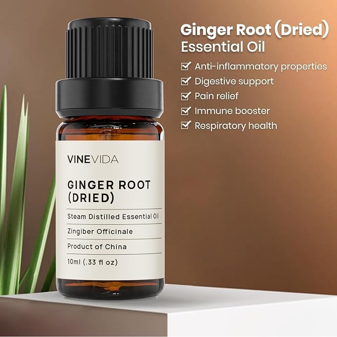 VINEVIDA Dried Ginger Root Essential Oil 10 mL - Undiluted Candle Scent DIY Scents for Candlemaking Soap Making