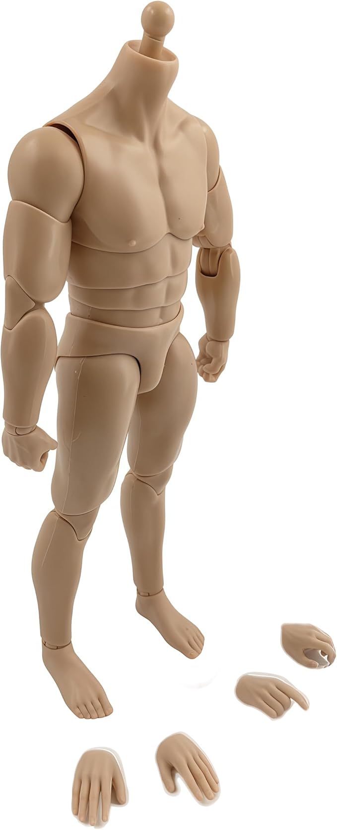 1:12 Male Action Figure Body – 6 Inch Highly Articulated Muscle Figure Base for Custom Military Models, Kitbashing, and Display Builds (3-Part Waist)