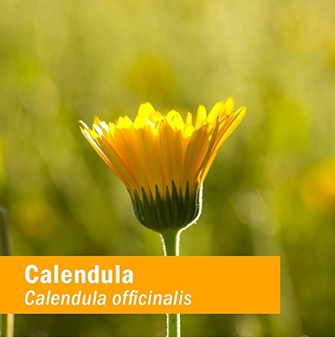 Herb Pharm Certified Organic Calendula Oil, 1 Oz