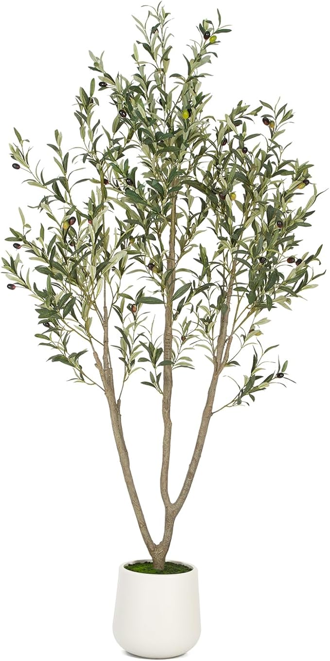 VIVATREES Olive Trees Artificial Indoor, 6FT Tall Faux Olive Tree with White Tall Planter, Artificial Plants with Natural Wood Trunk and Lifelike Fruits for Home Office Decor