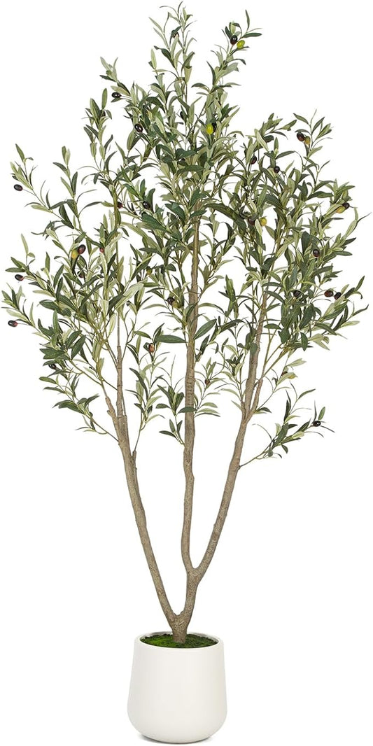 VIVATREES Olive Trees Artificial Indoor, 6FT Tall Faux Olive Tree with White Tall Planter, Artificial Plants with Natural Wood Trunk and Lifelike Fruits for Home Office Decor
