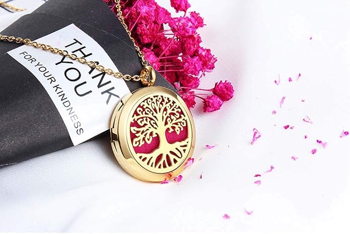 Aromatherapy Essential Oil Diffuser Necklace 316L Stainless Steel Locket Pendant with 24 Inch Chain