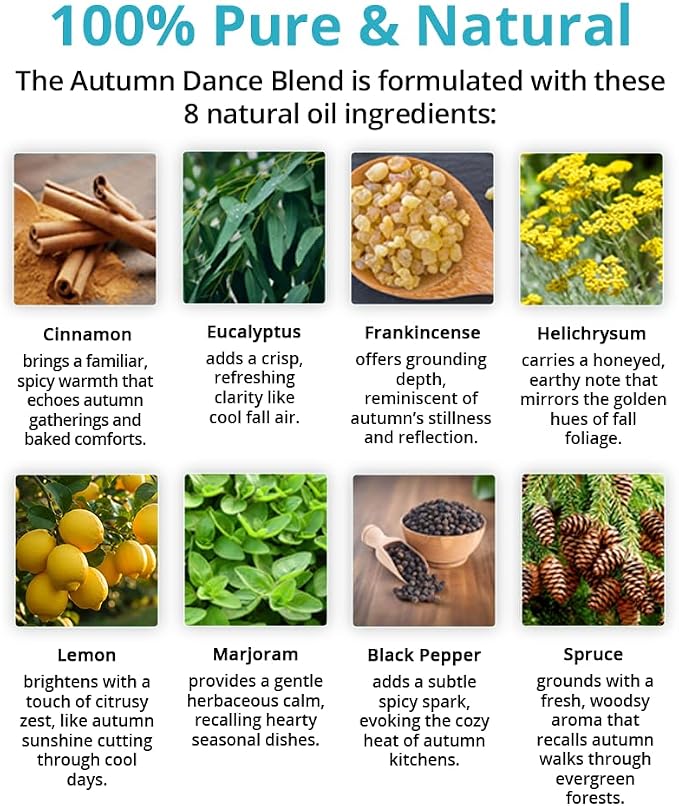 Wild Essentials Autumn Dance 100% Pure Essential Oil Synergy Blend 2 Pack - 10ml, Therapeutic Grade, Warming, Potpourri, Comfort, Made and Bottled in The USA
