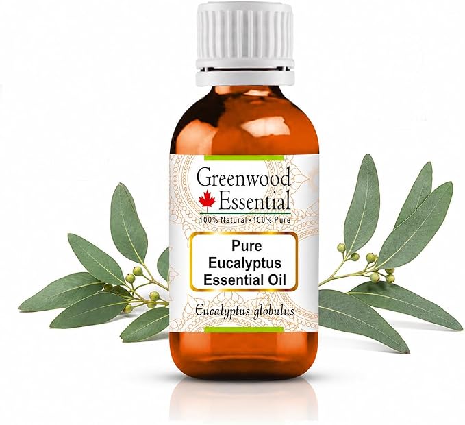 Greenwood Essential Eucalyptus Essential Oil (Eucalyptus globulus) Pure | Non-Sticky | Non-Greasy | Lightweight | Men & Women | All Skin Types | Steam Distilled 30ml (1 oz)