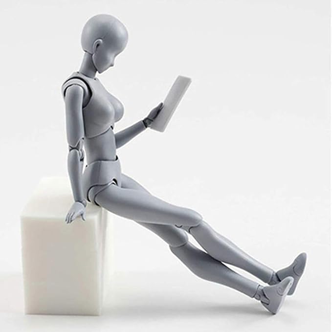 AXITWXIT Action Figures Body-Kun DX & Body-Chan DX PVC Figure Model Drawing for S H Figuarts with Box for Artists (Gray, Female)