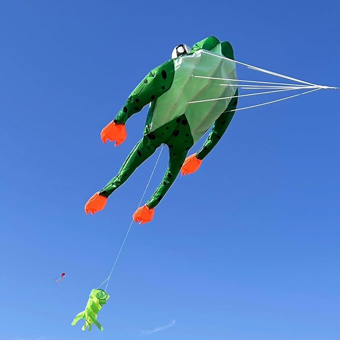 HENGDA KITE 3D Frog Kite for Kids and Adults,Easy to Fly,Excellent Fabric and Structure Design,Huge Frameless Soft Parafoil Giant Kites