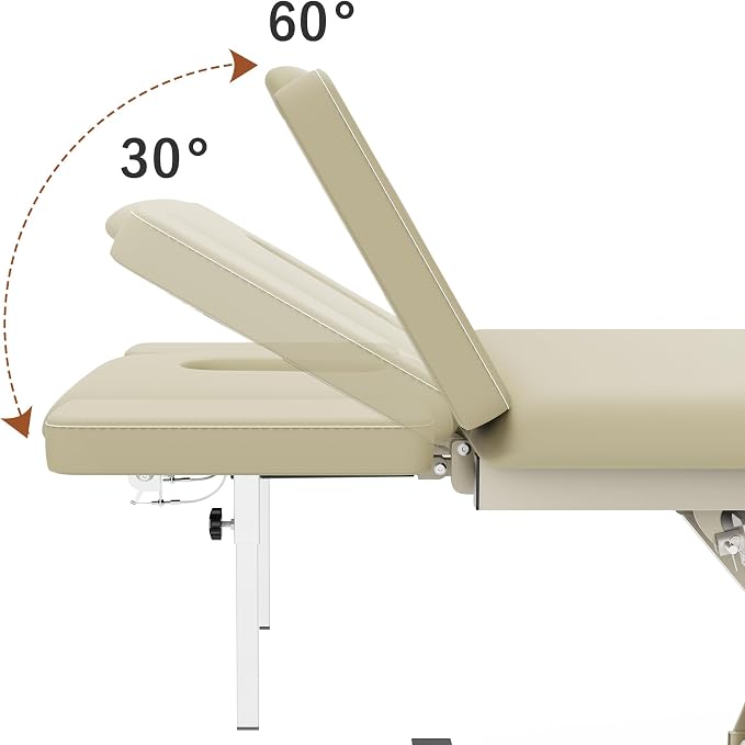 Professional Electric Massage Table, 2 Motors Hydraulic Electric Lift Adjustable Waist and Height Lifting Functions for Treatment/Physical Therapy/Spinal Massage/Facial Spa/Waxing - Beige Gray