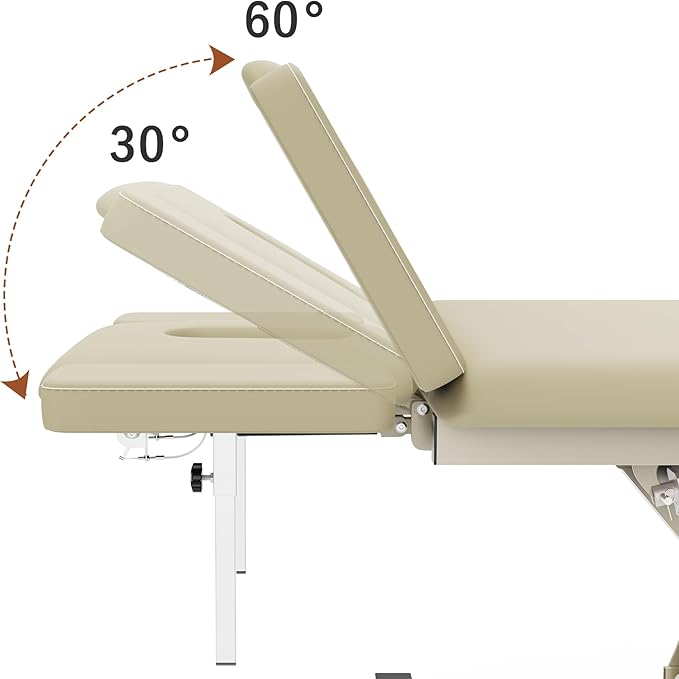 2 Motors Electric Massage Table, Hydraulic Electric Lift Adjustable Waist and Height Lifting Functions for Treatment, Physical Therapy, Spinal Massage, Facial Spa, Waxing, Tattooing - Beige Gray
