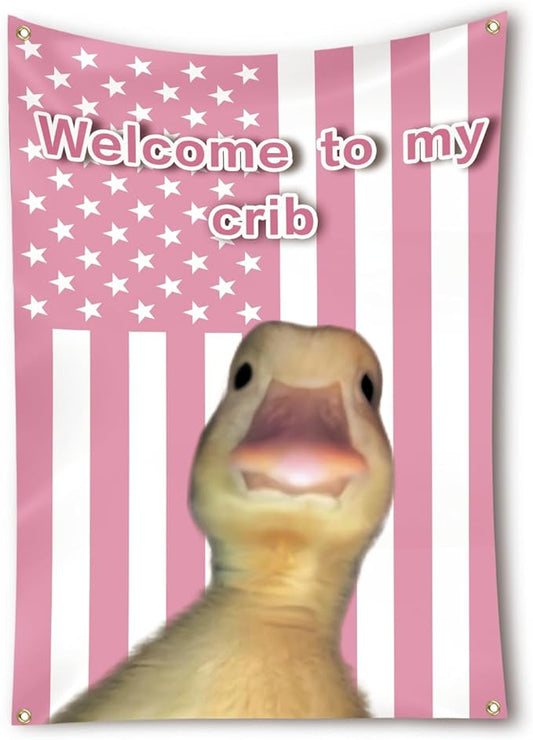 Welcome to My Crib Flag 2x3 Feet Funny Flags for Bedroom Cool Dorm Wall Flag with Brass Grommets for Teenagers Children Room Decoration