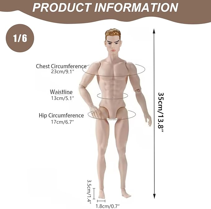 Wicked Dolls MattelS, 1/6 Scale Action Figure Multi Jointed Posable Male Muscular Action Figure Body with Head for Display Doll Collection, White