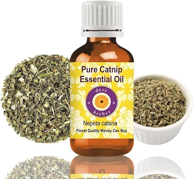 Deve Herbes Pure Catnip Essential Oil (Nepeta cataria) Steam Distilled 30ml (1 oz)