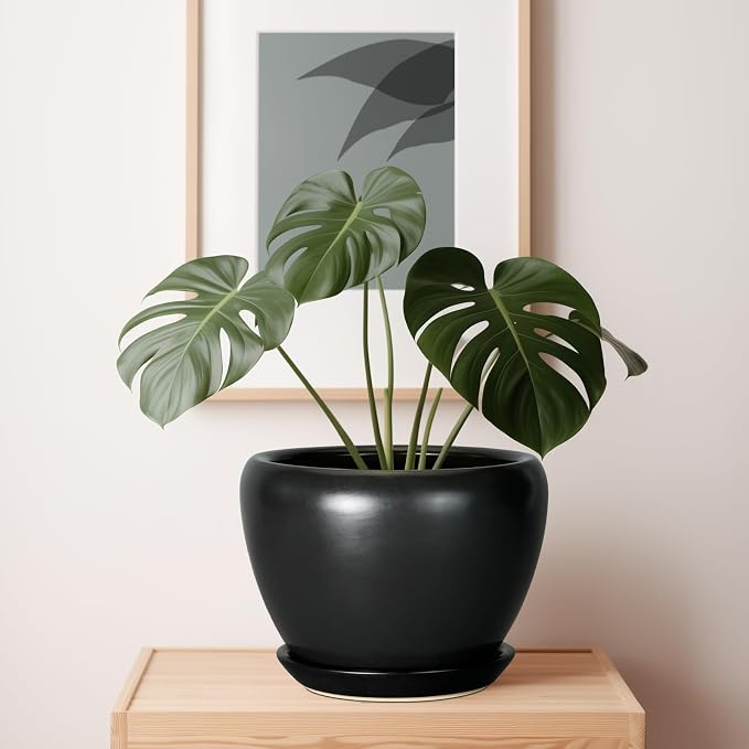 Ceramicfor Ceramic Pot for Plants - 10 Inch Plant Pot Indoor with Drainage Hole and Saucer Large Planter Decorative Planter Modern Outdoor Flower Pot for House Balcony Black