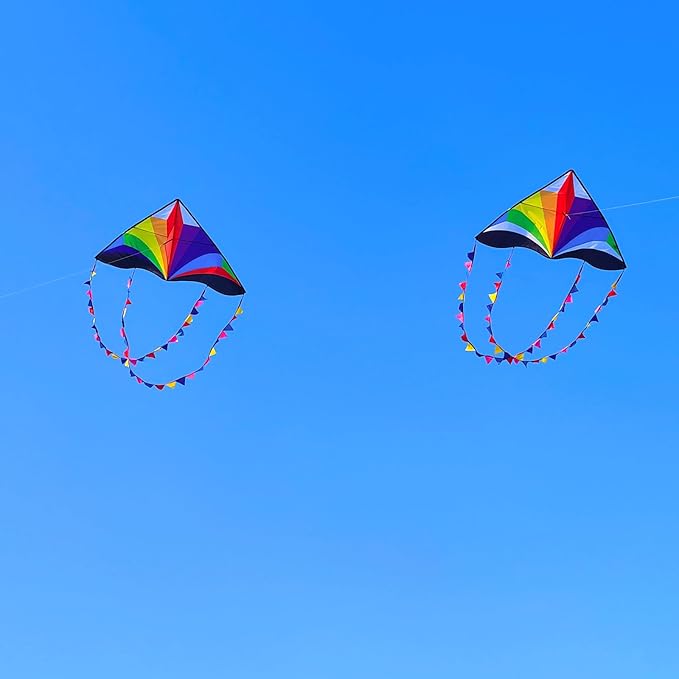 Delta Kite for Kids & Adults - Easy to Fly Large Single Line Beach Kite with 300ft String Handle Included, Perfect for Beginners, Teens