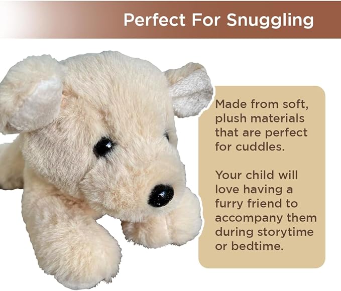 Biscuit Storytime Set: Educational Book and Plush Puppy Toy Combo for Kids and Toddlers - Bright, Colorful, and Interactive - 6.5 x 8 Book and 9.5" Stuffed Animal