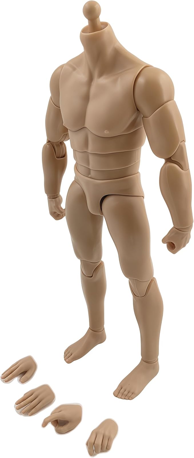 1:12 Male Action Figure Body – 6 Inch Highly Articulated Muscle Figure Base for Custom Military Models, Kitbashing, and Display Builds (3-Part Waist)