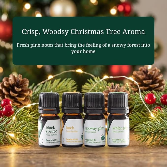 Aromatics International Premium Organic Norway Pine Essential Oil 5ml | 100% Pure Essential Oil for Diffusion, Aromatherapy & Wellness Use