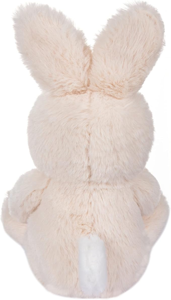 My OLi Bunny Stuffed Animal - 8in Plush Bunny with Carrot Sitting Rabbit Stuffed Toy Gifts for Girls Boys Kids