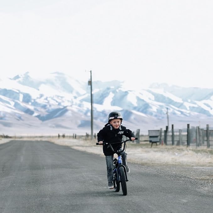 12 14 16 18 Inch Kids Bike BMX Style Bicycle with Training Wheels Coaster Brake for 2-10 Years Old Toddlers Boys Girls Multiple Colors