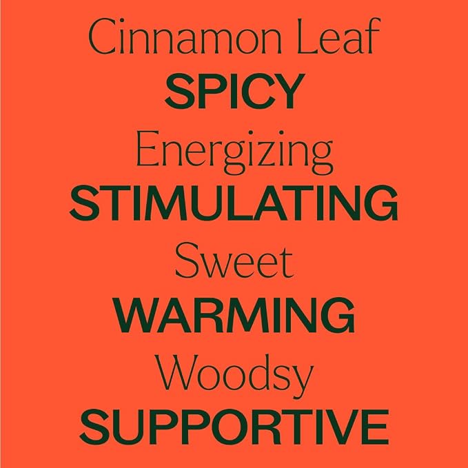 Plant Therapy Cinnamon Leaf Essential Oil 30 mL (1 oz) 100% Pure, Undiluted, Aromatherapy, Cozy Scent, Sore Muscle Relief