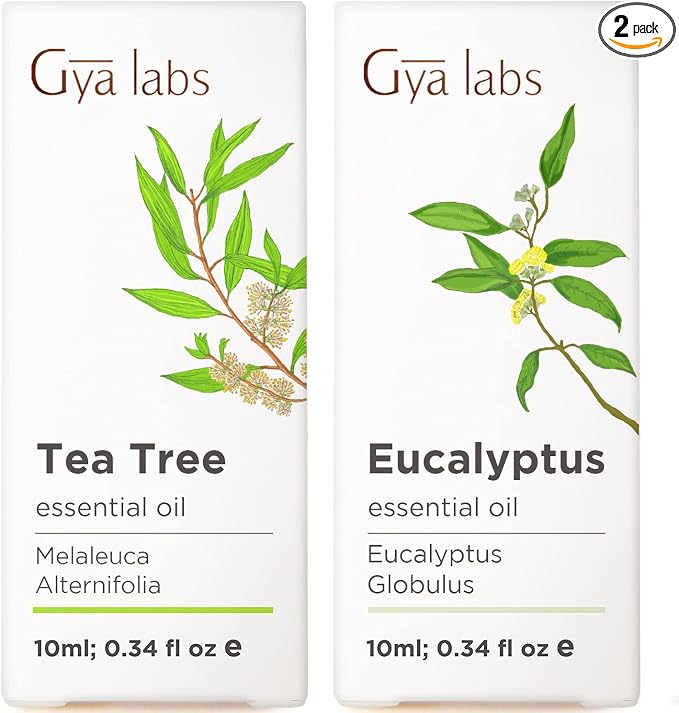 Tea Tree Oil for Skin & Eucalyptus Essential Oil for Diffuser Set - Aromatherapy Grade Essential Oils Set - 2x0.34 fl oz - Gya Labs
