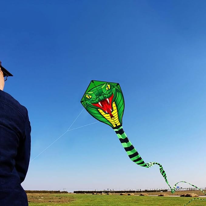 HENGDA KITE Large Power Snake Kites with Flying Line Outdoor Fun Sports Kite