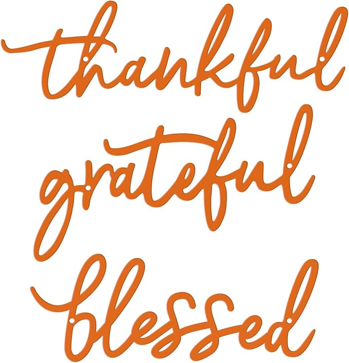 Thankful Grateful Blessed Letter Sign Metal Wall Decor, 3 Piece Black Letters Wall Art for Bathroom Bedroom Metal Words Wall Decor for Home Decor (Orange)