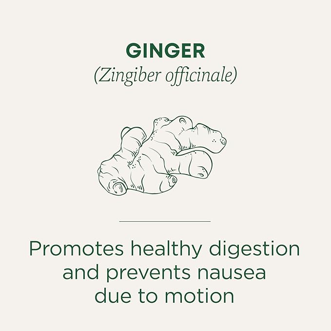 Traditional Medicinals Tea, Organic Ginger, Healthy Digestion, Pleasantly Spicy & Warming, 16 Tea Bags