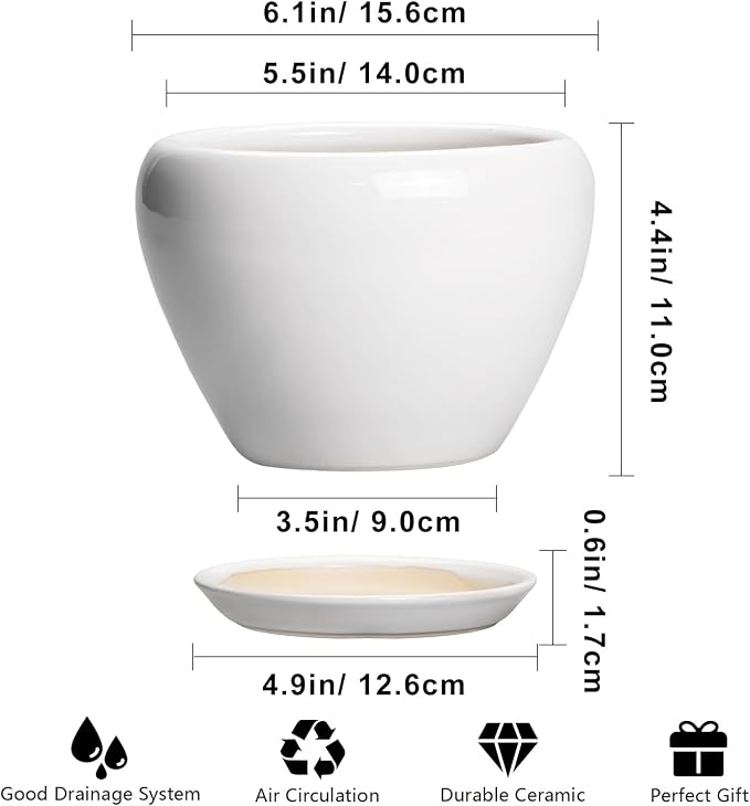 Ceramicfor Ceramic Pot for Plants - 6 Inch Plant Pot for Succulent Plants, Glaze Modern Round Planter with Drainage Hole and Saucer, Gifts for Plant Lovers, Home Office Patio Room Decor, White
