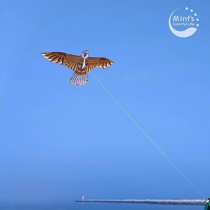 Bald Eagle Kite for Adults and Kids, Huge Kites Easy to Fly Single Line Kite for Beach Trip