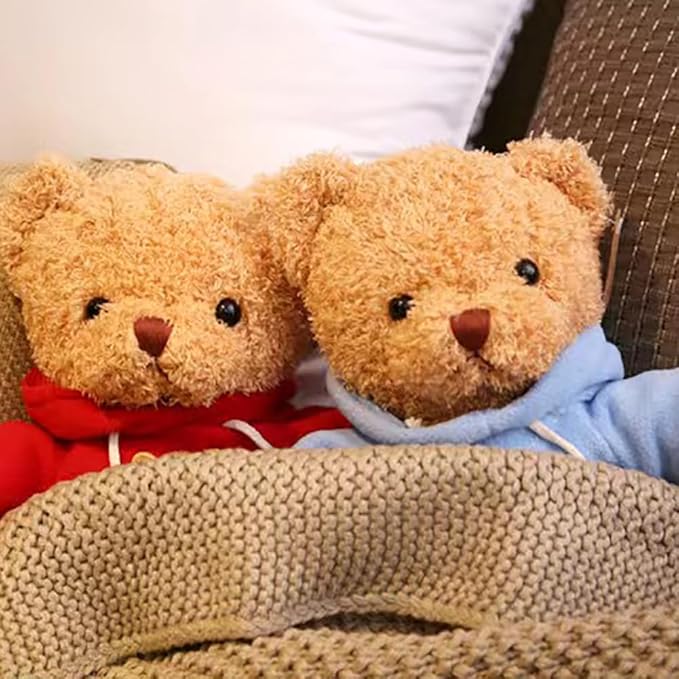 Teddy Bear Stuffed Animal, Teddy Bear Plush Toy, Birthday for Kids Boys Girls Friends (Pink, 12inch)