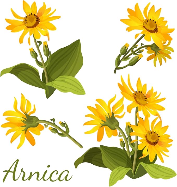 All-Natural Arnica Muscle Relief Massage Oil - 8 oz | Plant-Based Topical Swelling, and bruising Relief, Essential Oils & Menthol soothes and Cools Sore Muscles, Hypoallergenic Made in USA