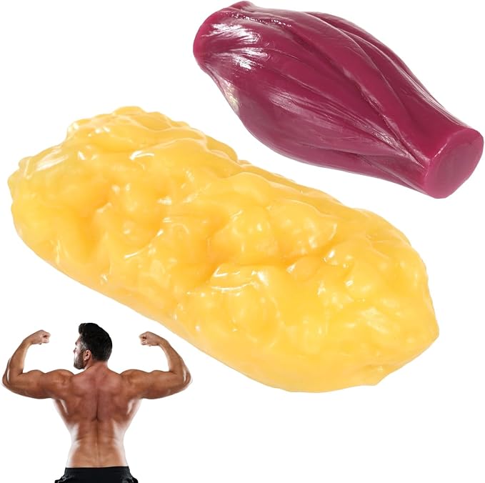 2 Pcs Human Muscle and Adipose Tissue Anatomy Model Set, 1 lb Muscle and 1 lb Tissue Replica, Realistic Anatomy Replica for Education, Fitness Motivation, Nutrition Analysis