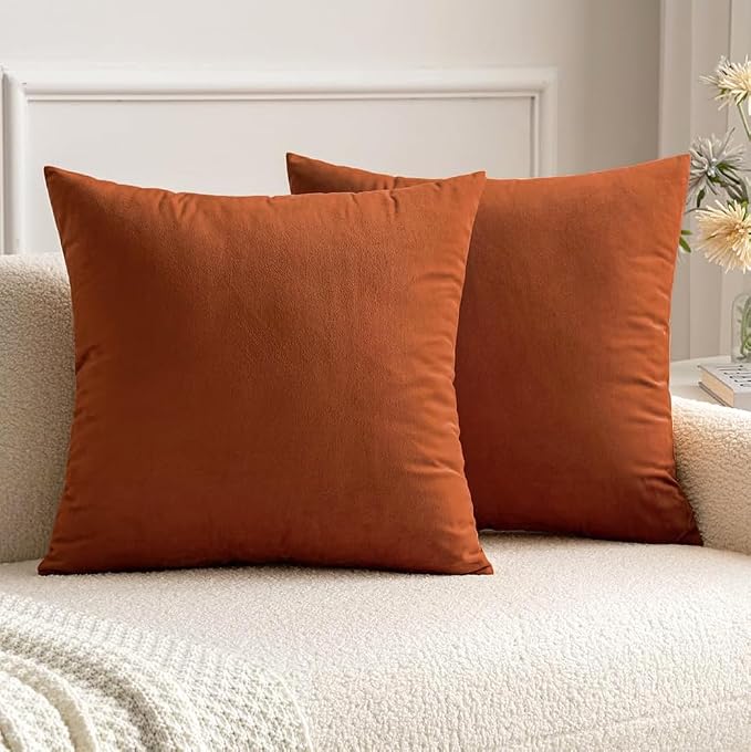 MIULEE Velvet Fall Throw Pillow Covers 16x16 Inch Pack of 2 Rust | Soft Solid Small Decorative Pillow Covers, Modern Luxury Home Decor, for Couch Chair Sofa Bedroom Livingroom Car