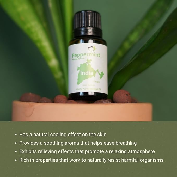 Peppermint Essential Oil - Direct from Norex Flavours India - Steam Distilled - Aceite Esencial de Menta for Aromatherapy, Massage, Diffuser, DIY Candle and Soap Making - 8oz