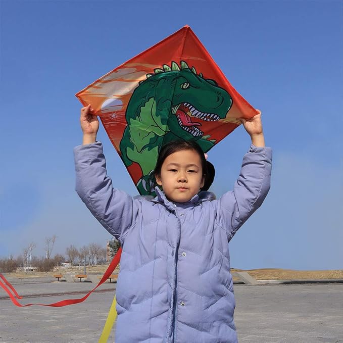 HONBO DIY Kite for Kids, Beginners Kite for Children, Wonderful Eddy Kite for 3 Years up, with 2x300cm Long Tails, Kite Handle, 60m String and Swivel incloud
