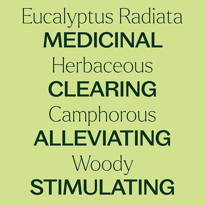 Plant Therapy Eucalyptus Radiata Essential Oil 10 mL (1/3 oz), 100% Pure, Undiluted, for Aromatherapy, Respiratory Support & Focus
