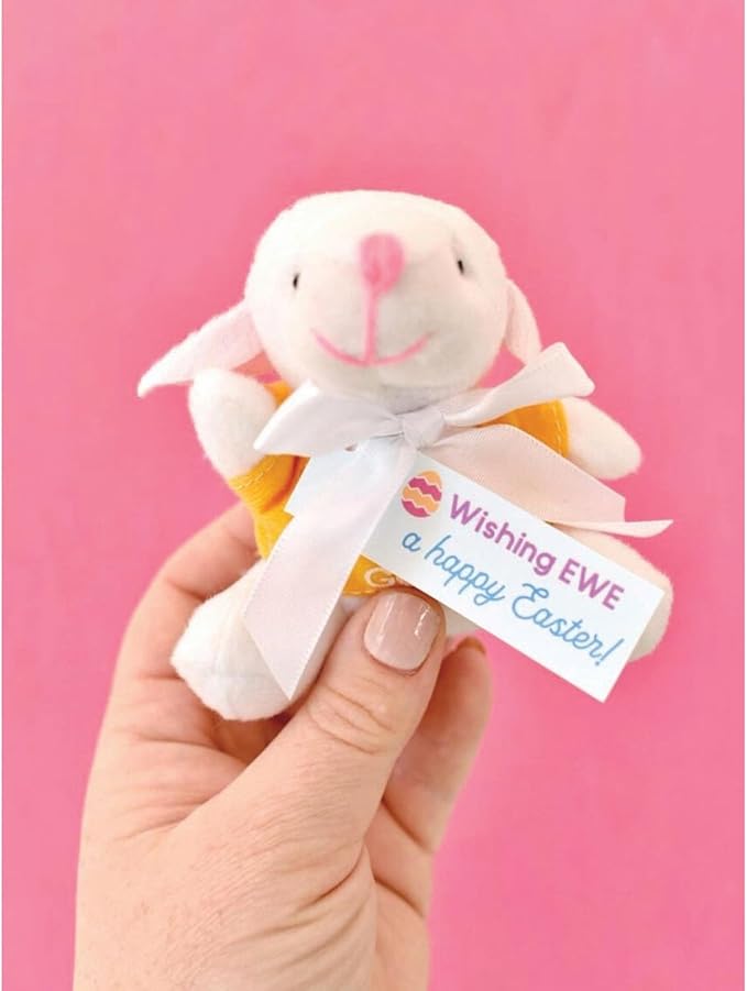 Fun Express Lamb Stuffed Animal 12 Pack - Mini 4" Sheep Plush with Lamb of God T-Shirts | Christian Gifts Bulk for Baptism Party Favors, Sunday School Supplies & Jesus Toys for Kids Religious Events