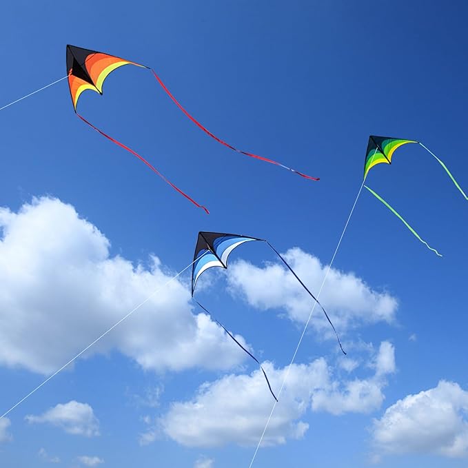 Mint's Colorful Life Delta Kite for Kids & Adults, Extremely Easy to Fly Kite for Beach Trip, Best Kites for Beginners, 300ft String Handle Included
