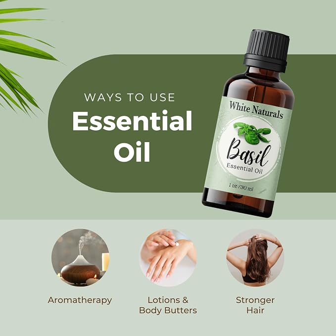 Basil Essential Oil,100% Pure & Natura, Therapeutic Grade Basil Oil for Aromatherapy, Great for Skin, Massage, Diffuser Candle & Soap Making, Plant Therapy 1 oz Bottle with Dropper