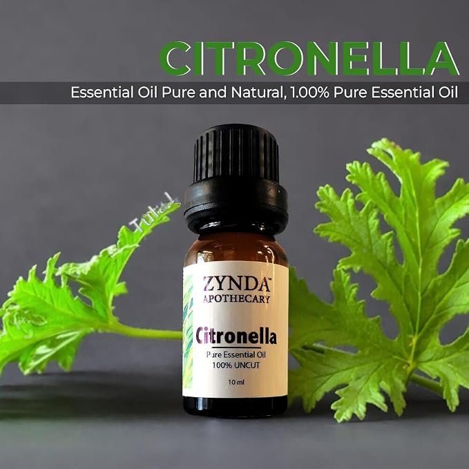 Citronella Essential Oil Pure and Natural, 100% Uncut Pure Essential Oil - 10ml