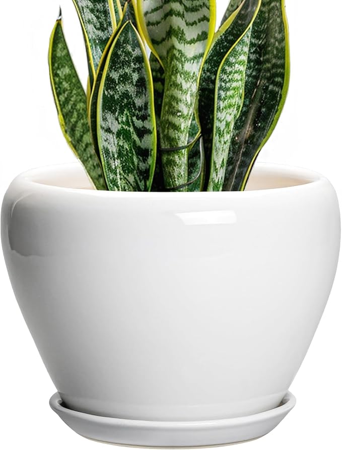Ceramicfor Ceramic Pot for Plants - 8 Inch Ceramic Planter for Indoor Plants, Modern Round Planter with Drainage Hole and Saucer, Plant Lover Gifts, Home Office Garden Decor, White