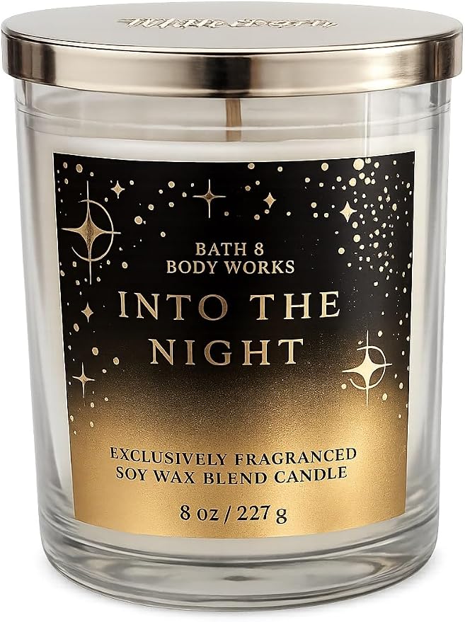 Bath & Body Works Single Wick Candle - 8 oz Each (Into The Night)