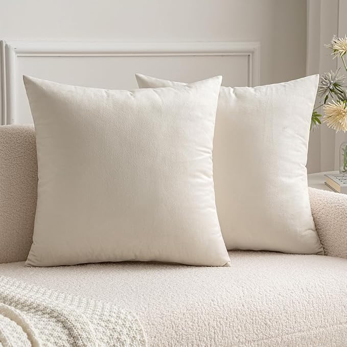 MIULEE Velvet Throw Pillow Covers 16x16 Inch Pack of 2 Cream White | Soft Solid Small Decorative Pillow Covers, Modern Luxury Home Decor, for Couch Chair Sofa Bedroom Livingroom Car