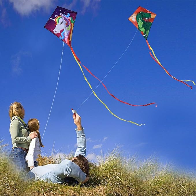 HONBO DIY Kite for Kids, Beginners Kite for Children, Wonderful Eddy Kite for 3 Years up, with 2x300cm Long Tails, Kite Handle, 60m String and Swivel incloud