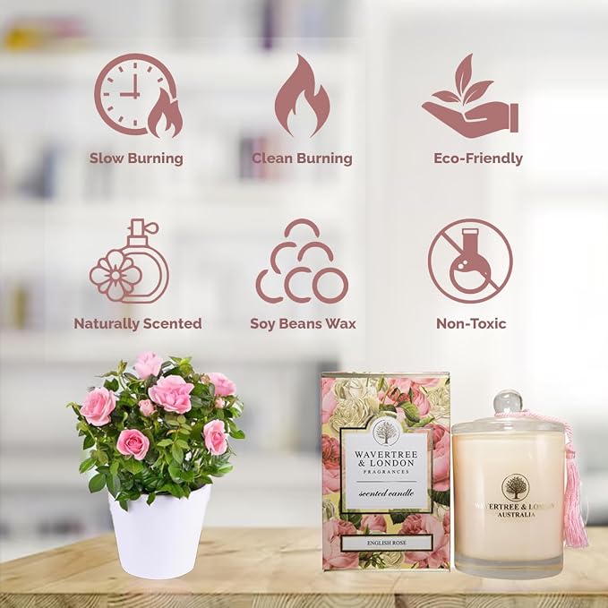 Wavertree & London Organic English Rose Scent Soy Wax Candle | Non Toxic 100% Cotton Wick Triple Scented Pure Natural Soy Wax Candles, Hand Poured in Australia | 60 Hours Burning Time, 11.66 Oz